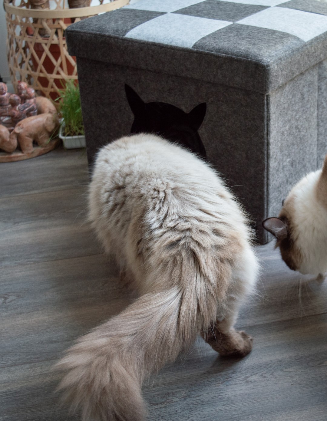 Let's sleep Pet Cube Licht/Donker Grijs 2025 Let's sleep Pet Cube Licht/Donker Grijs - Afbeelding 5