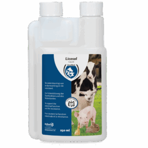 Excellent Licosol (jonge dieren) Vloeibaar 250 ml
