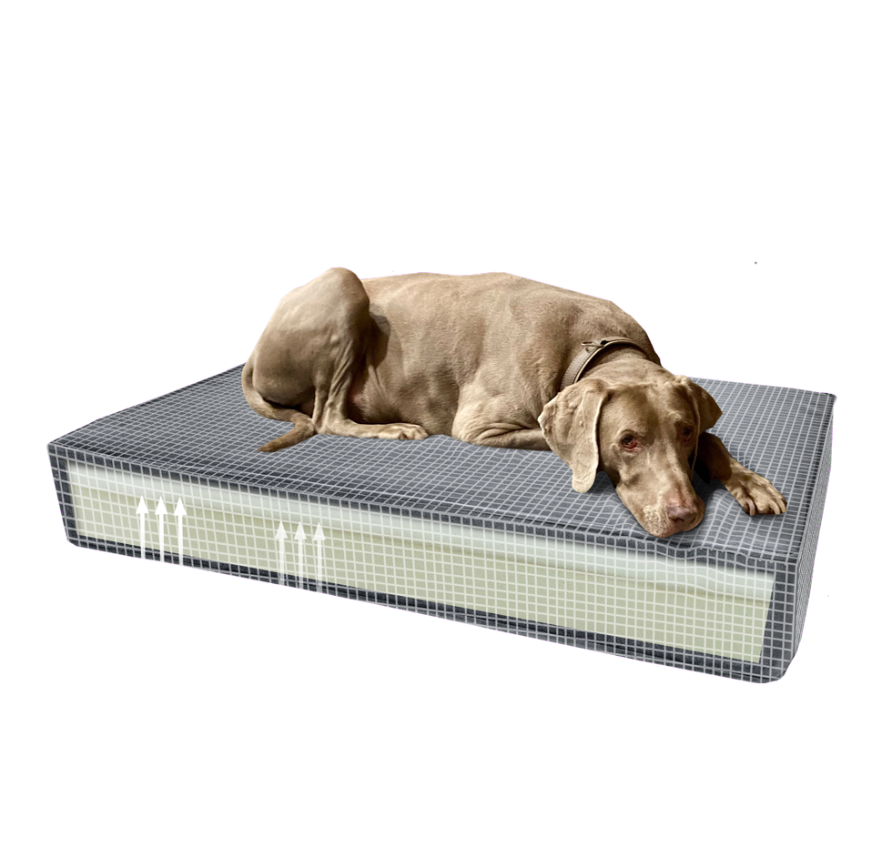 Madison Orthopedisch Kussen Velvet Oranje S 2025 Madison Orthopedisch Kussen Velvet Oranje S - Afbeelding 4