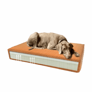 Madison Orthopedisch Kussen Velvet Oranje S