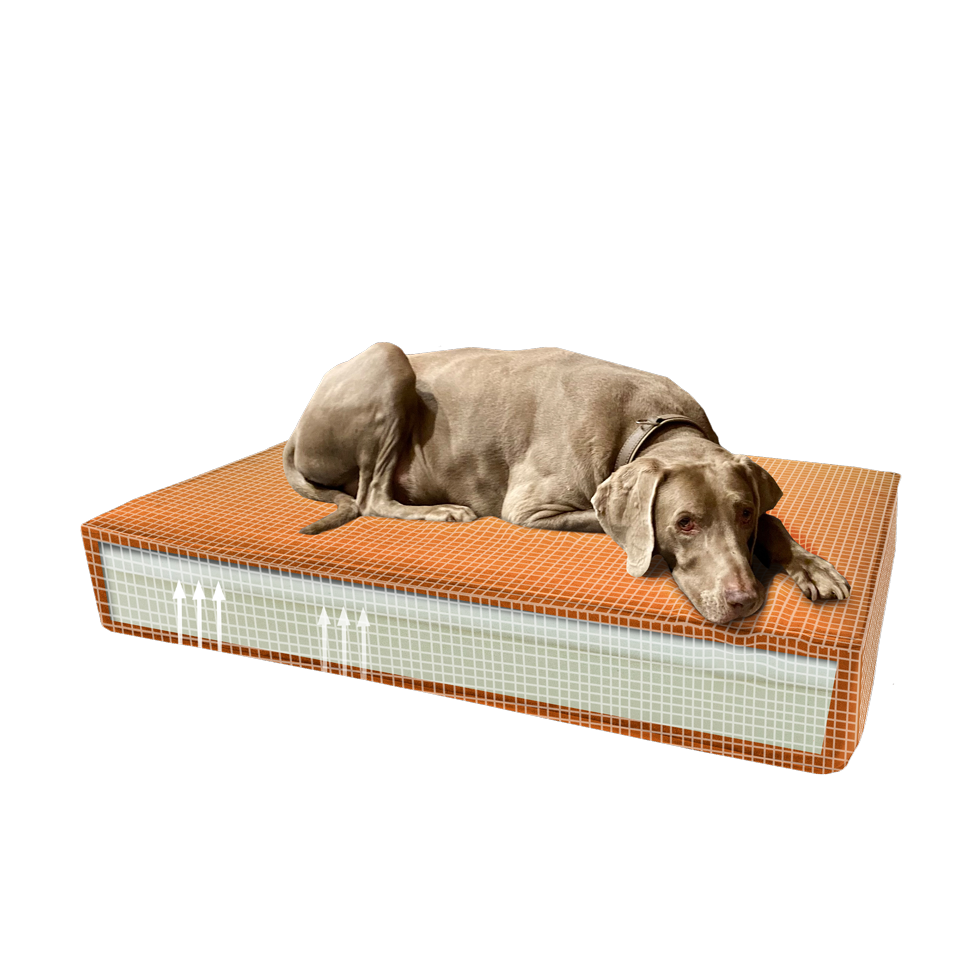 Madison Orthopedisch Kussen Velvet Oranje S 2025 Madison Orthopedisch Kussen Velvet Oranje S