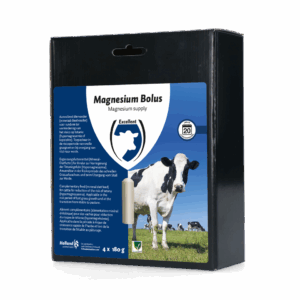 Excellent Magnesium Bolus 4 x 180 g