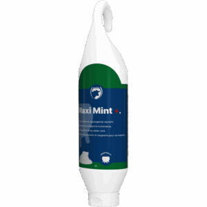 Excellent Maxi Mint+ Sta-/Hangtube 1 l