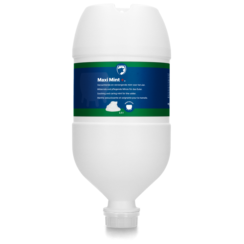Excellent Maxi Mint+ Hangtube 2,5 l 2025 Excellent Maxi Mint+ Hangtube 2,5 l