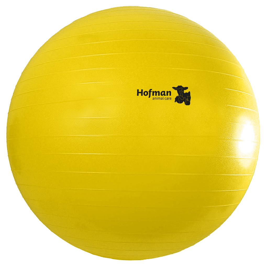 Maximus Power Play Ball 75 cm 2025 Maximus Power Play Ball 75 cm - Afbeelding 2