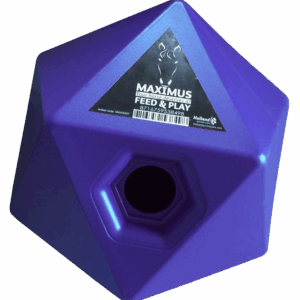 Maximus Feed & Play Blauw