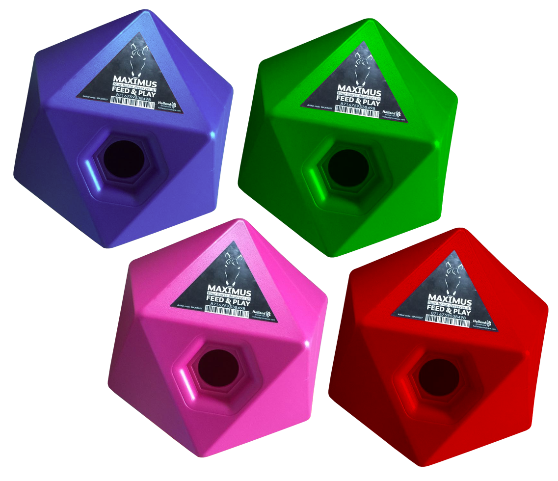 Maximus Feed & Play Roze 2025 Maximus Feed & Play Roze - Afbeelding 2