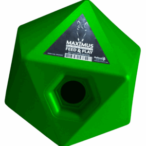 Maximus Feed & Play Groen