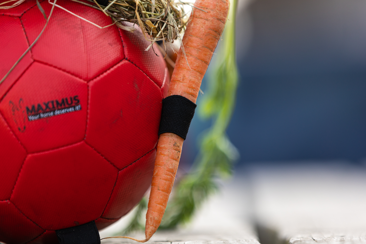 Excellent Horse Fun Play Ball Roze 2025 Excellent Horse Fun Play Ball Roze - Afbeelding 3