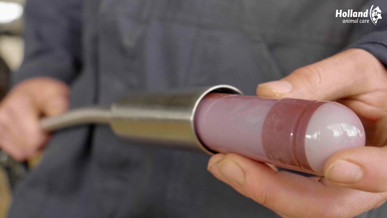 Direct Energy 12 x 67 g 2025 Direct Energy 12 x 67 g - Afbeelding 2