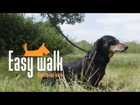 Easy Walk Schoudermodel Rood - Mini 2025 Easy Walk Schoudermodel Rood - Mini - Afbeelding 3