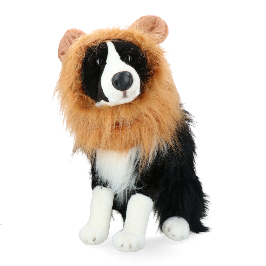 Oranje Manen Tooi S 2025 Oranje Manen Tooi S