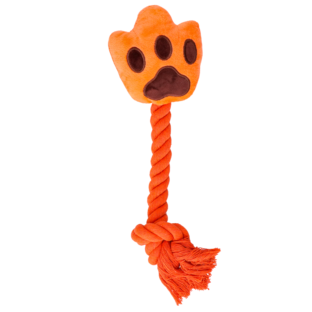 Oranje High Five 2025 Oranje High Five