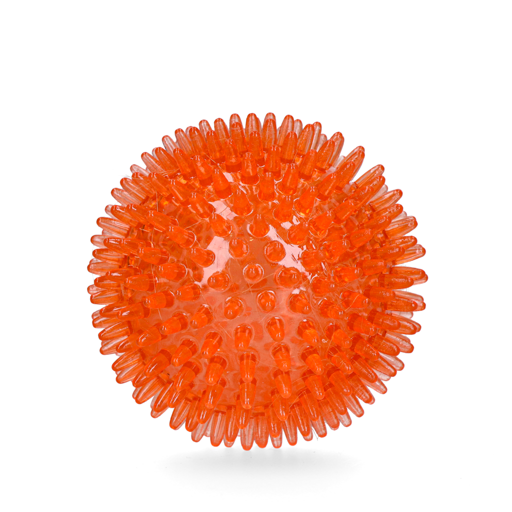 Oranje Egelbal M 2025 Oranje Egelbal M