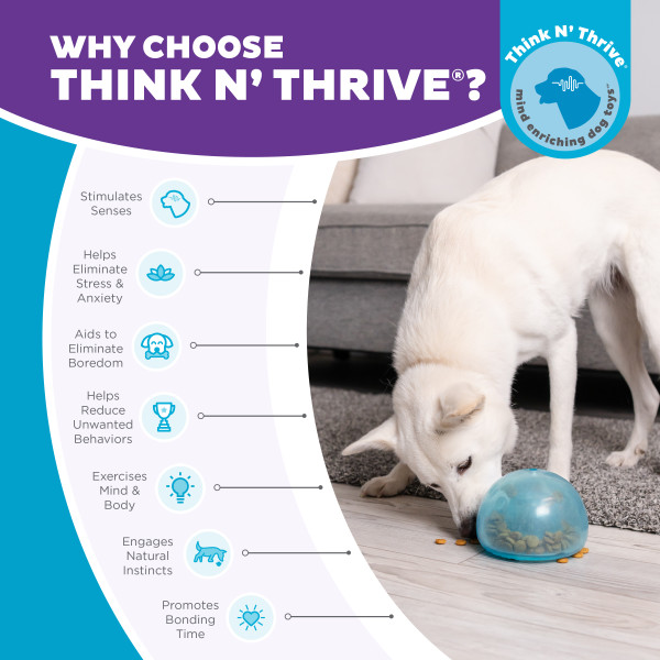 Outward Hound Orbee-Tuff Snoop L Blauw 2025 Outward Hound Orbee-Tuff Snoop L Blauw - Afbeelding 2