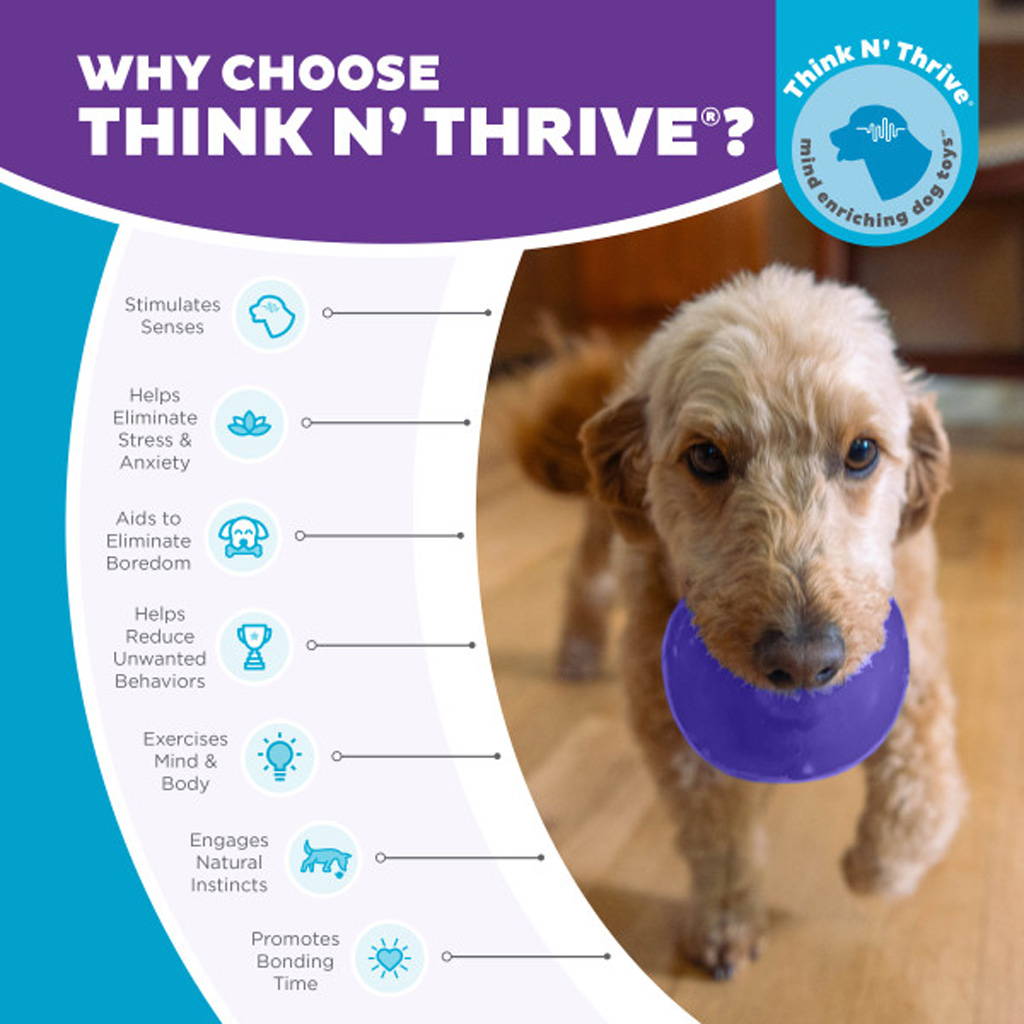 Outward Hound Orbee-Tuff Snoop M Paars 2025 Outward Hound Orbee-Tuff Snoop M Paars - Afbeelding 5