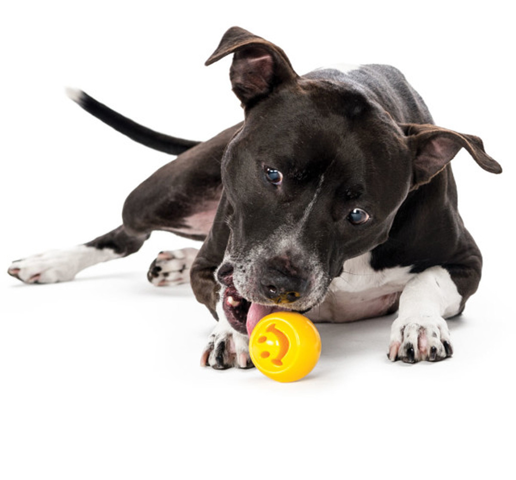 Outward Hound Orbee-Tuff Nooks Geel 2025 Outward Hound Orbee-Tuff Nooks Geel - Afbeelding 2