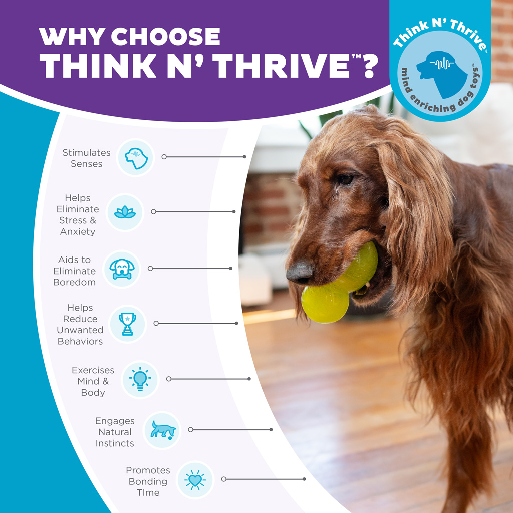 Outward Hound Double-Tuff L Groen 2025 Outward Hound Double-Tuff L Groen - Afbeelding 4