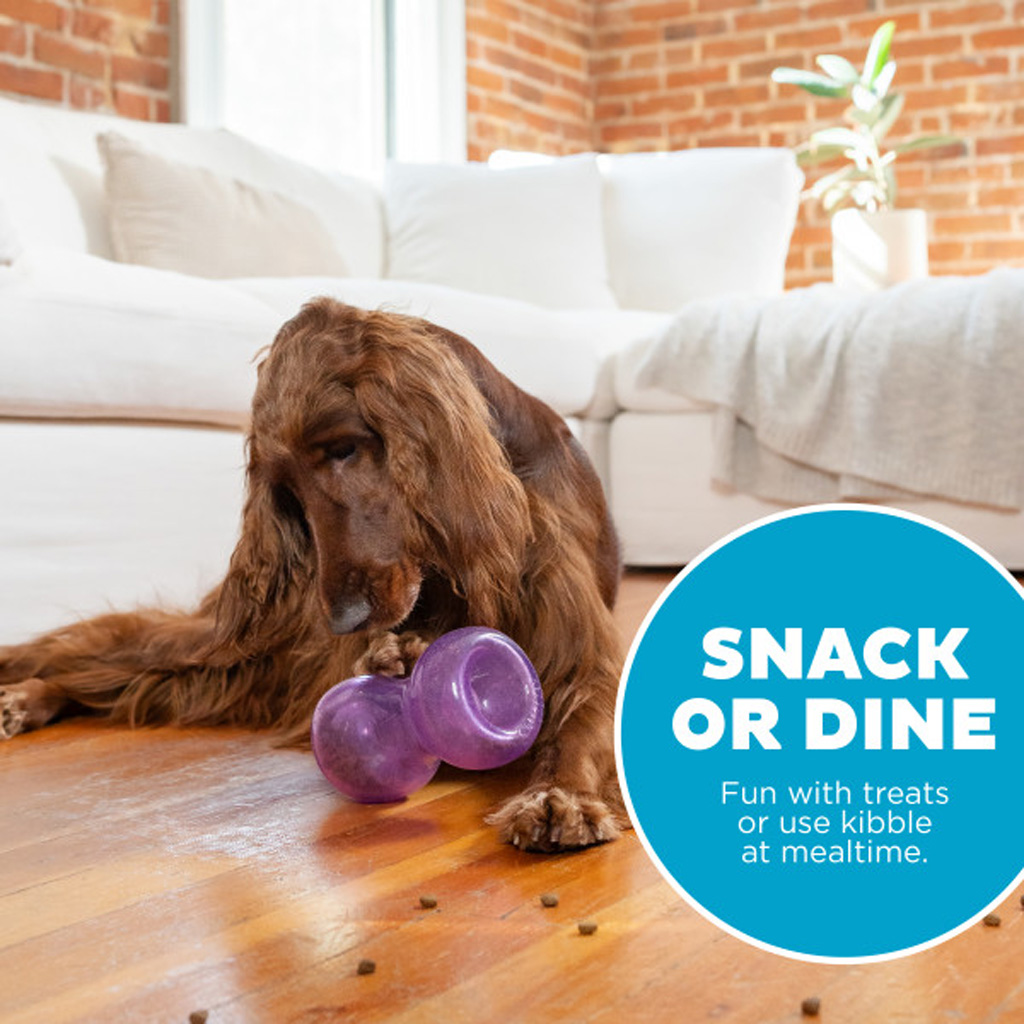 Outward Hound Double Snoop Paars 2025 Outward Hound Double Snoop Paars - Afbeelding 5