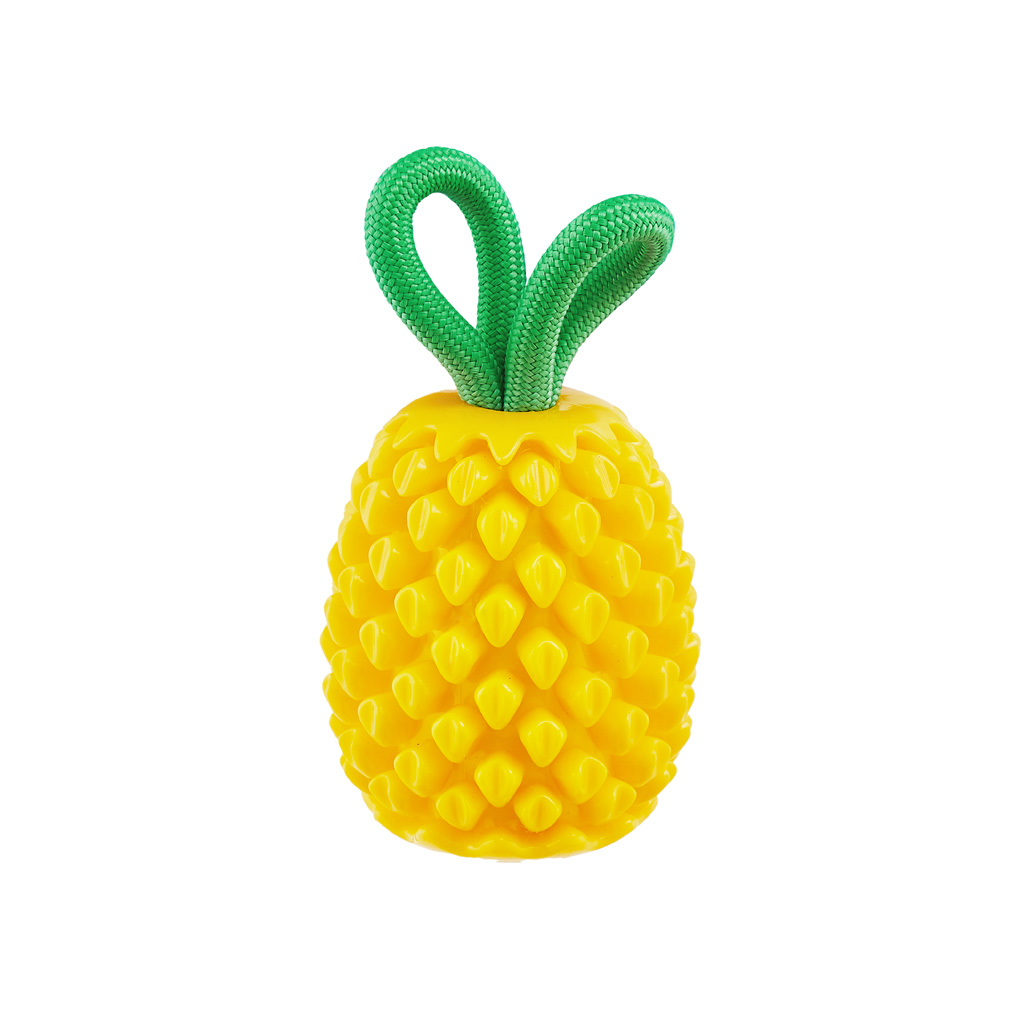 Outward Hound Dental Pineapple 2025 Outward Hound Dental Pineapple - Afbeelding 2