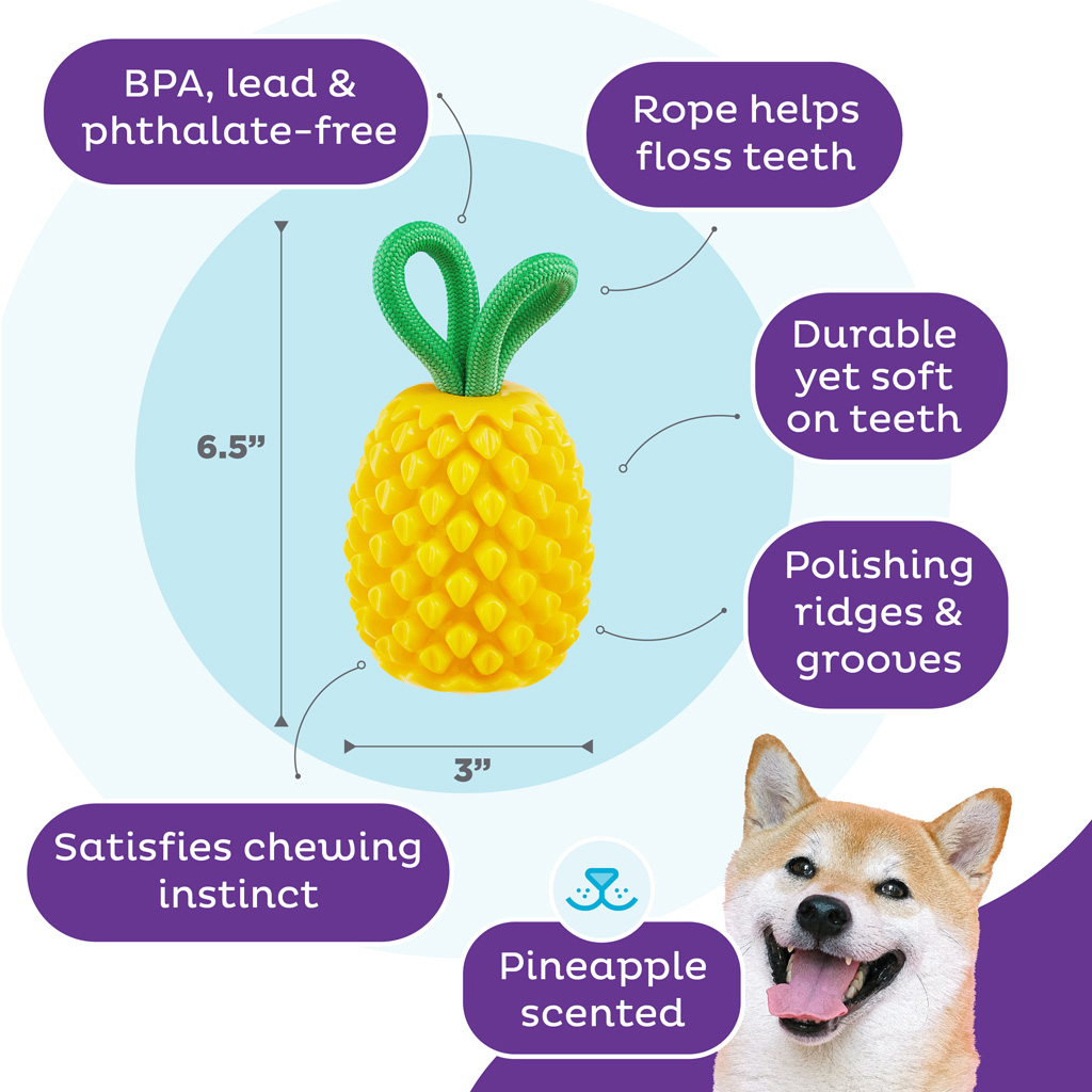 Outward Hound Dental Pineapple 2025 Outward Hound Dental Pineapple - Afbeelding 5