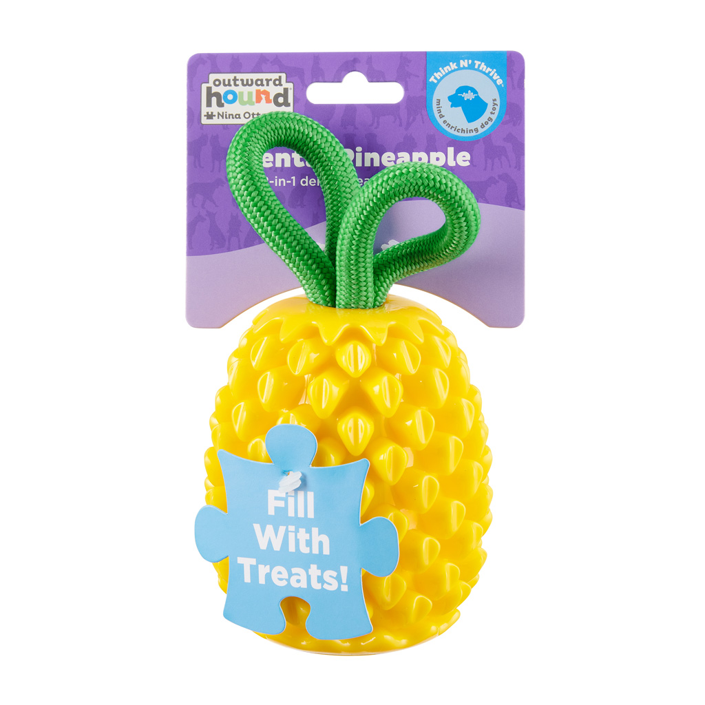 Outward Hound Dental Pineapple 2025 Outward Hound Dental Pineapple
