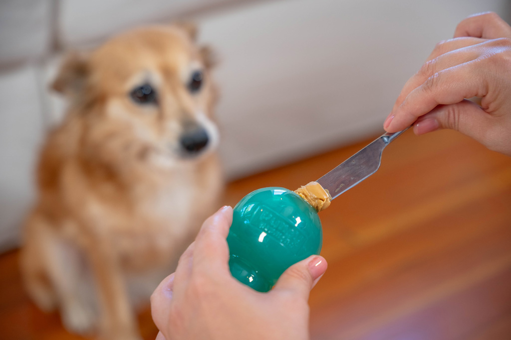 Outward Hound Double-Tuff M Blauw 2025 Outward Hound Double-Tuff M Blauw - Afbeelding 5