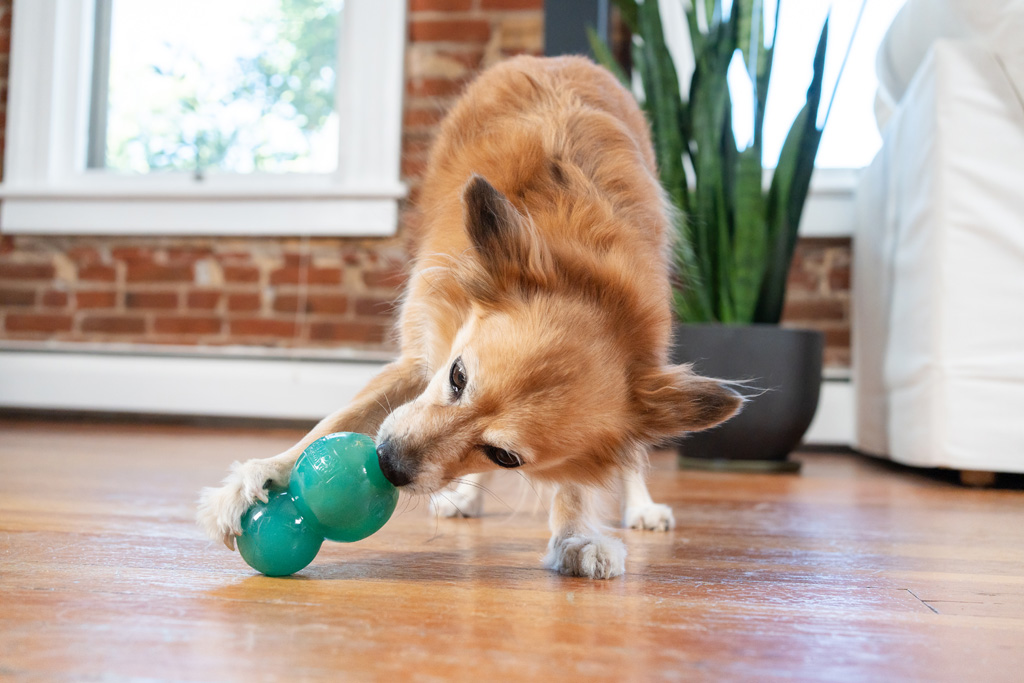 Outward Hound Double-Tuff M Blauw 2025 Outward Hound Double-Tuff M Blauw - Afbeelding 6