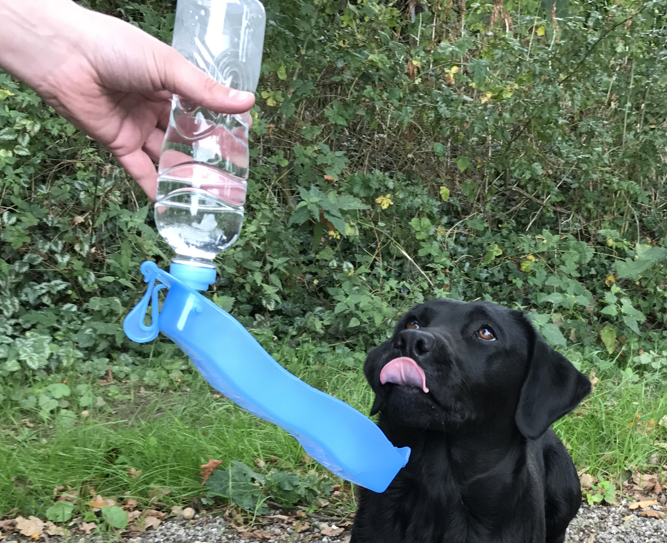 Pawise Travel Bottle 500 ml 2025 Pawise Travel Bottle 500 ml - Afbeelding 5