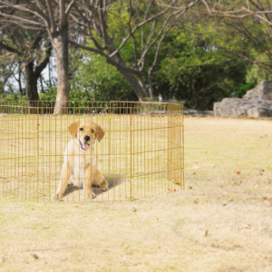 Pawise Dog Play Pen L