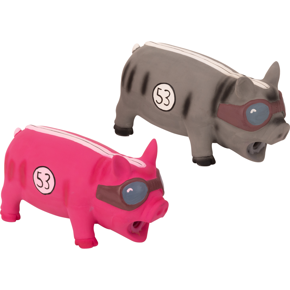 Pawise Latex Pig Boss 2025 Pawise Latex Pig Boss