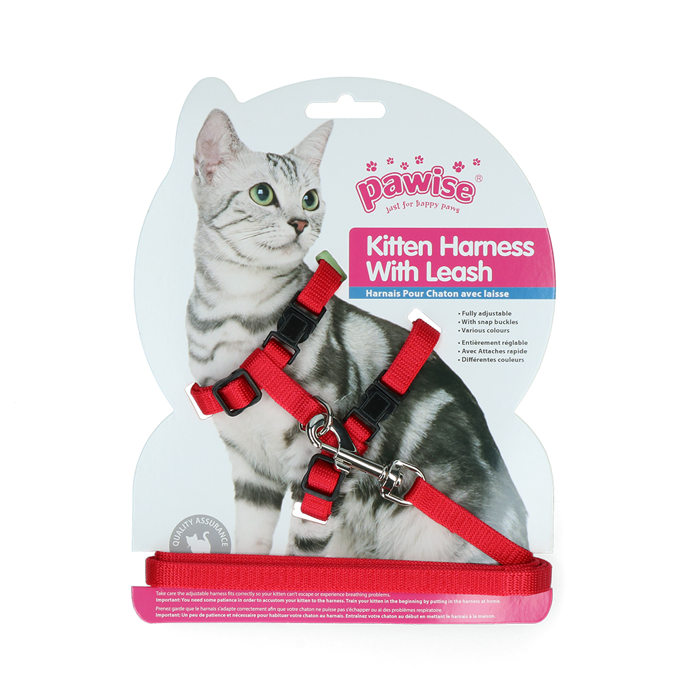 Pawise Kitten Harness With Leash Red/Blue S 2025 Pawise Kitten Harness With Leash Red/Blue S - Afbeelding 2