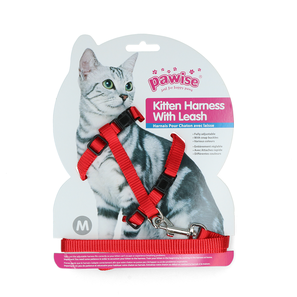 Pawise Kitten Harness With Leash Red/Blue M 2025 Pawise Kitten Harness With Leash Red/Blue M - Afbeelding 2