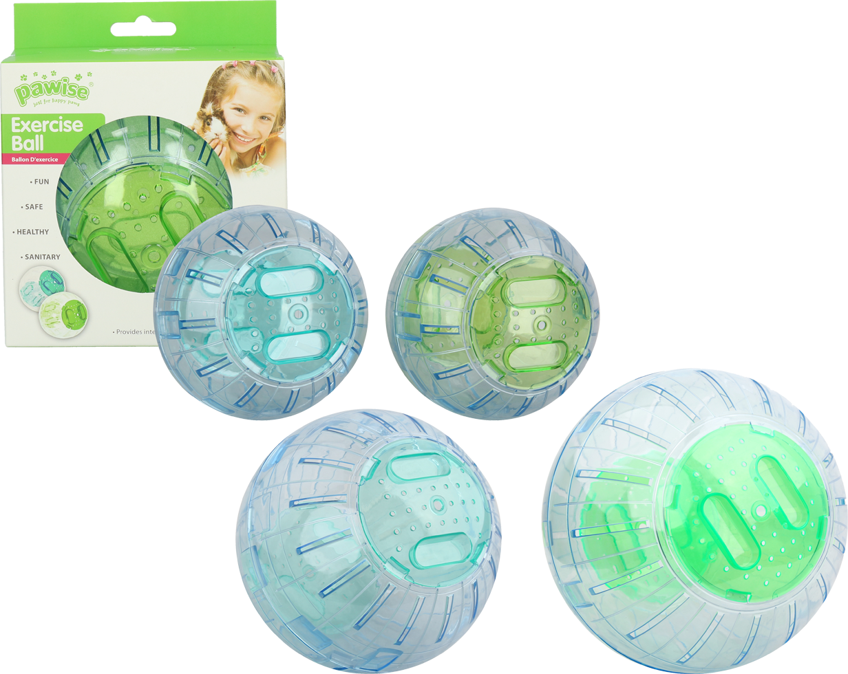 Pawise Exercise Ball L - 25 cm 2025 Pawise Exercise Ball L - 25 cm - Afbeelding 2
