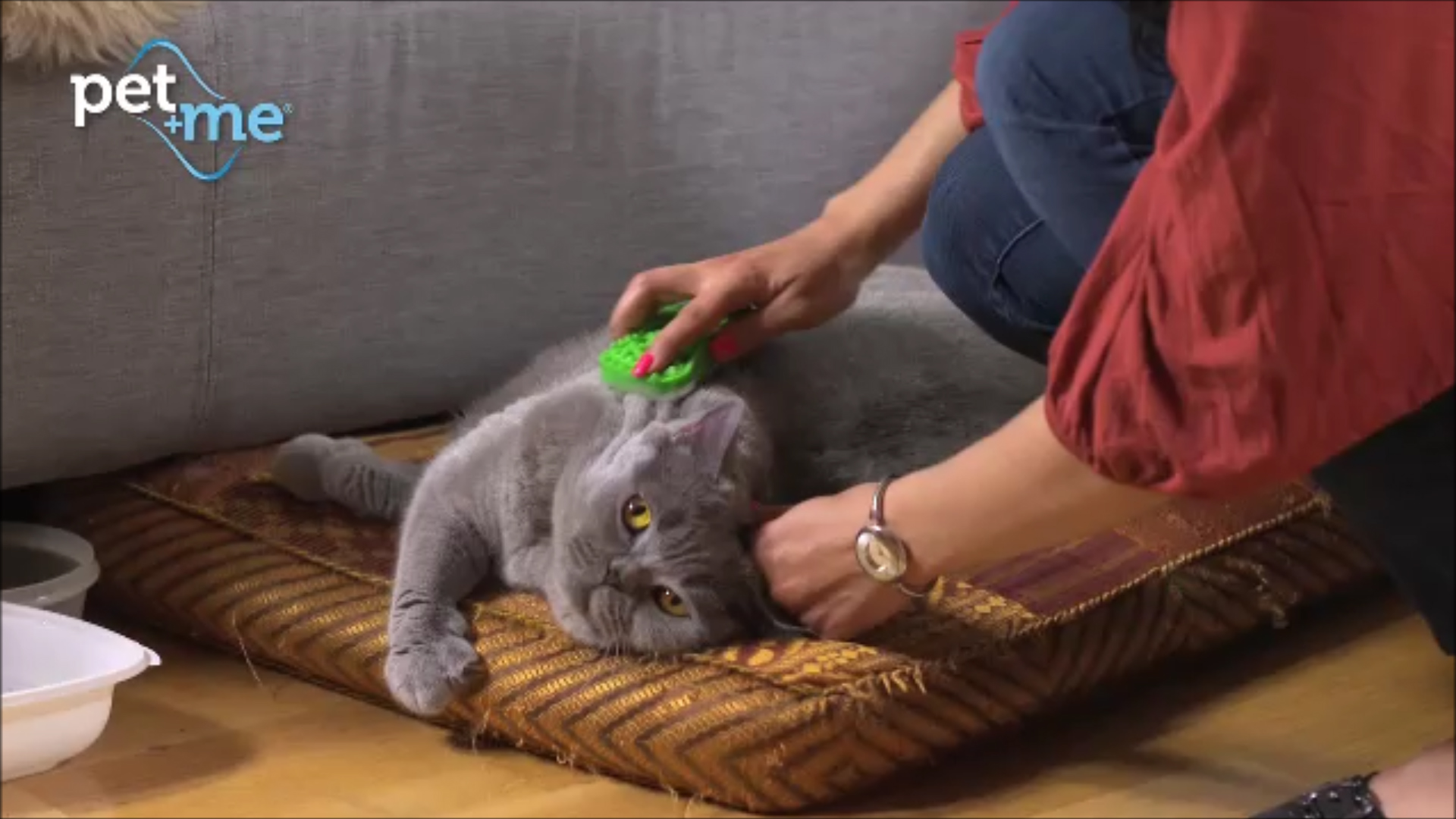 Pet+Me Cat Hair Brush Lang haar Groen 2025 Pet+Me Cat Hair Brush Lang haar Groen - Afbeelding 5