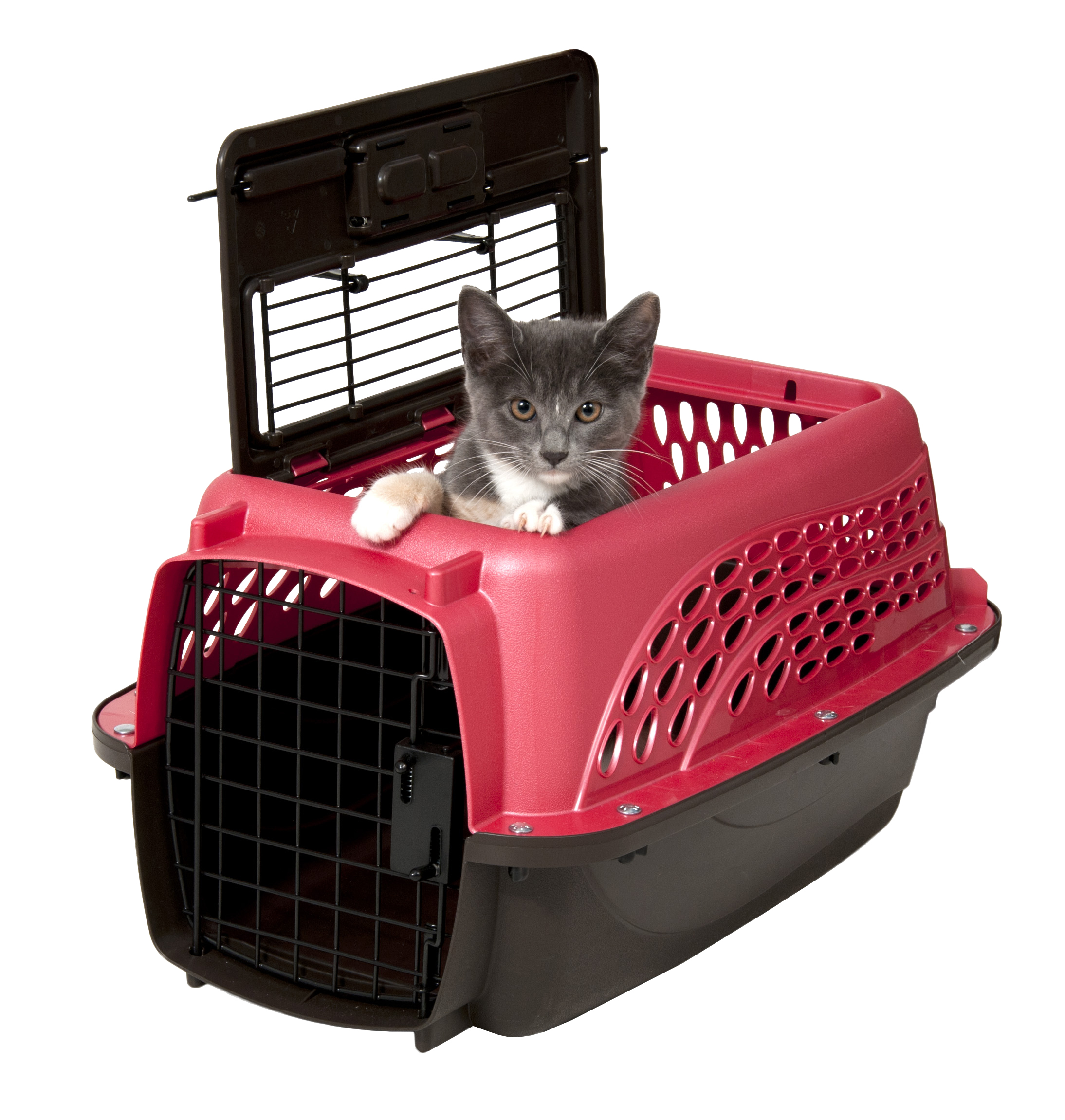 Petmate 2 Door Kennel Roze XS 2025 Petmate 2 Door Kennel Roze XS - Afbeelding 3