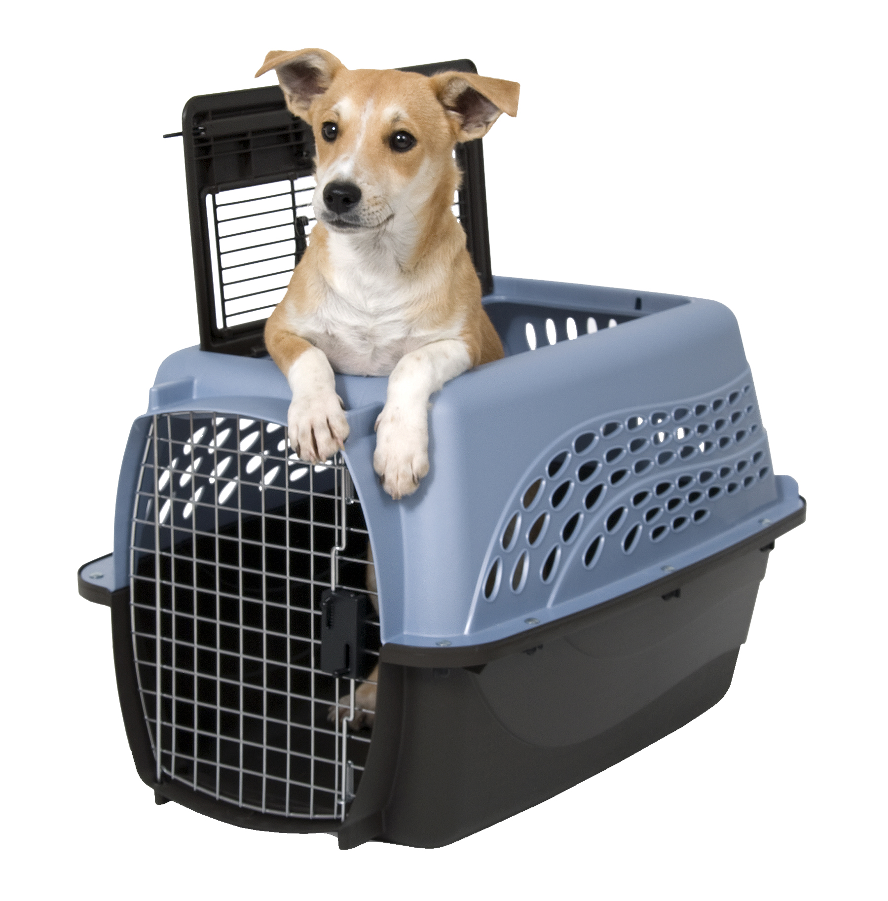 Petmate 2 Door Kennel Blauw S 2025 Petmate 2 Door Kennel Blauw S - Afbeelding 3