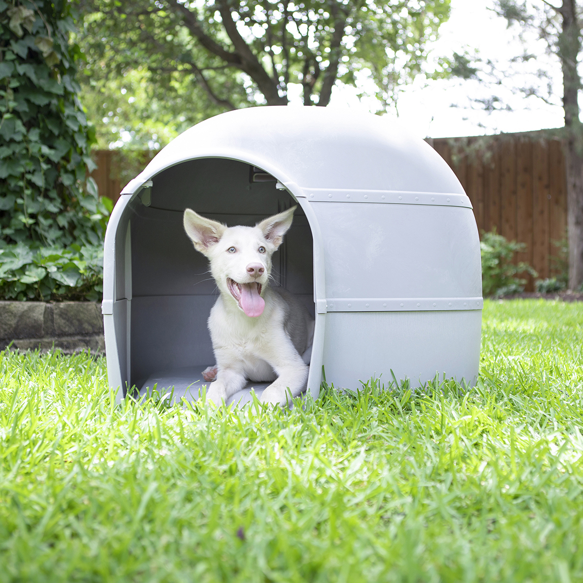 Petmate Husky Dog House 2025 Petmate Husky Dog House - Afbeelding 3