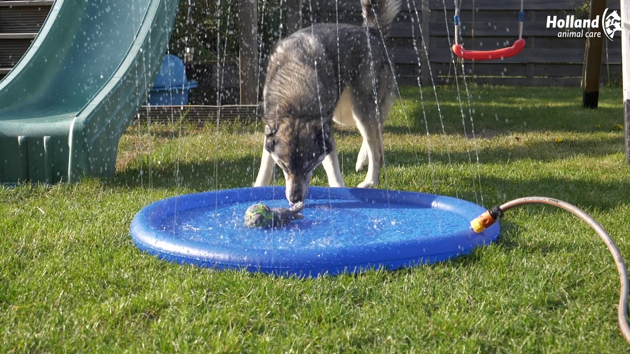 CoolPets Splash Pool Water Sprinkler 100 cm 2025 CoolPets Splash Pool Water Sprinkler 100 cm - Afbeelding 2