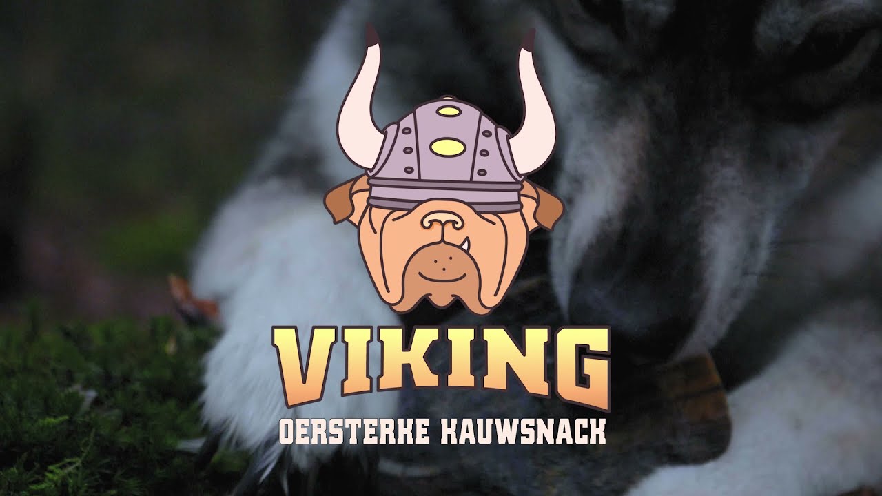 Viking Horn Twist S 2025 Viking Horn Twist S - Afbeelding 2