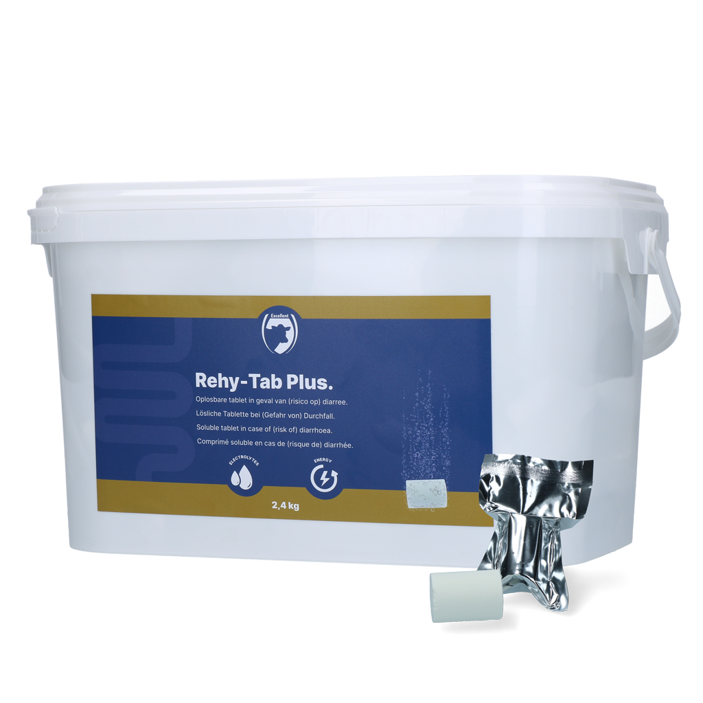 Excellent Rehy-Tab Plus (Bruistablet diarree) 2,4 kg (48 tabs) 2025 Excellent Rehy-Tab Plus (Bruistablet diarree) 2,4 kg (48 tabs)