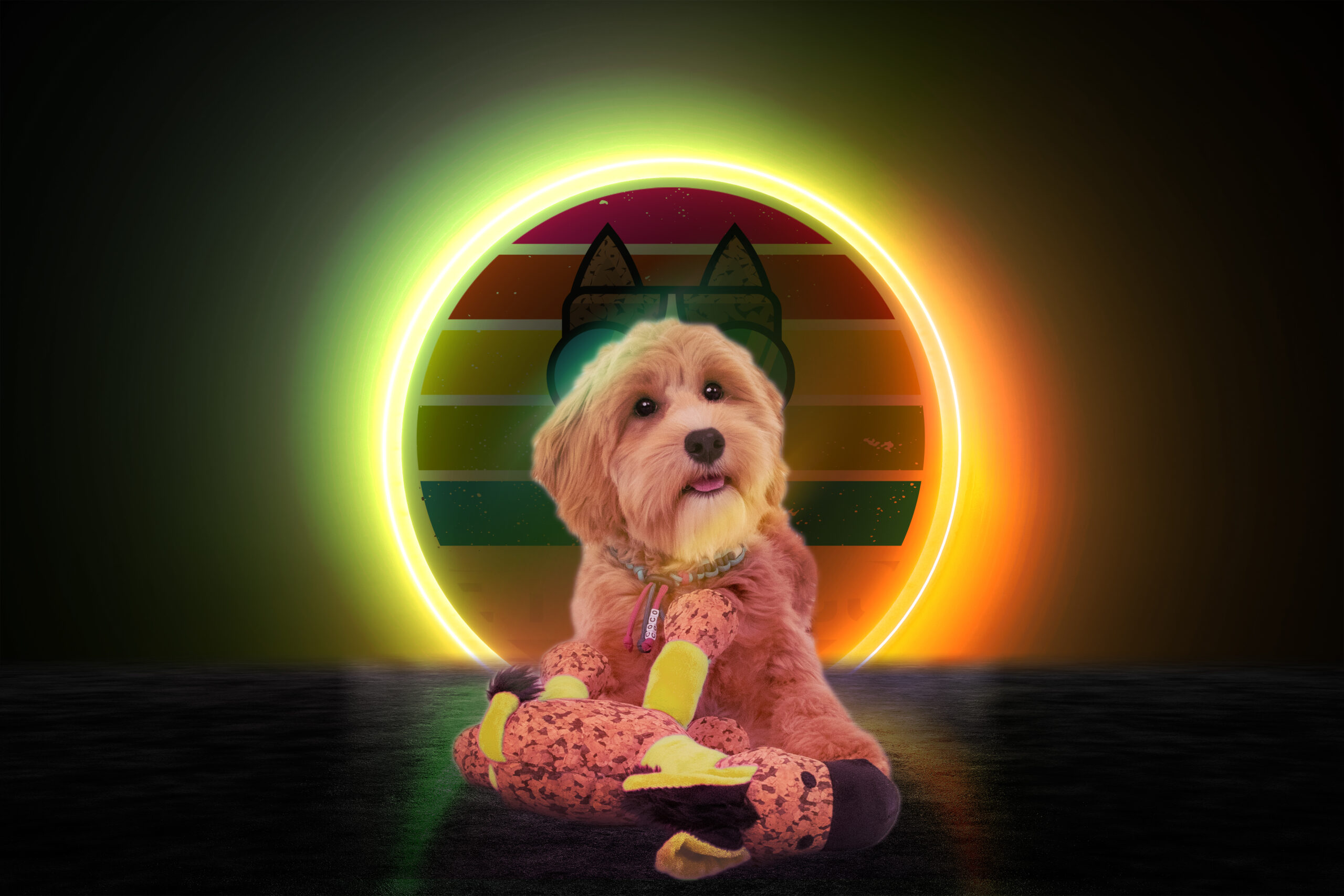 Retrodog Donkey Geel S 2025 Retrodog Donkey Geel S - Afbeelding 3