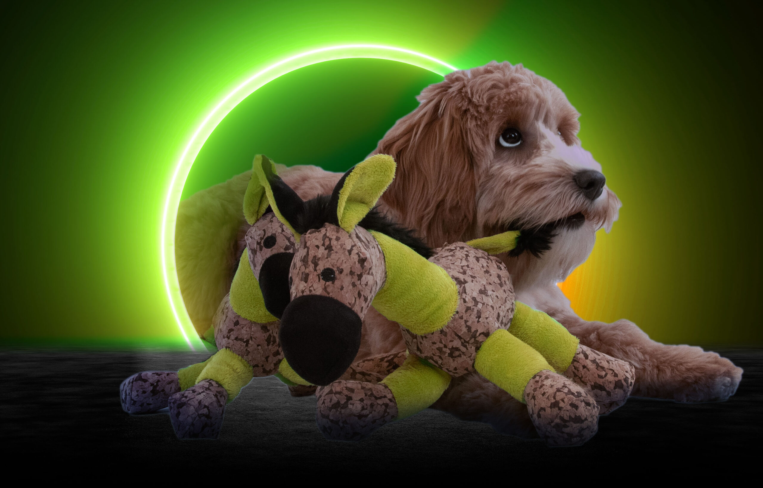 Retrodog Donkey Geel S 2025 Retrodog Donkey Geel S - Afbeelding 4