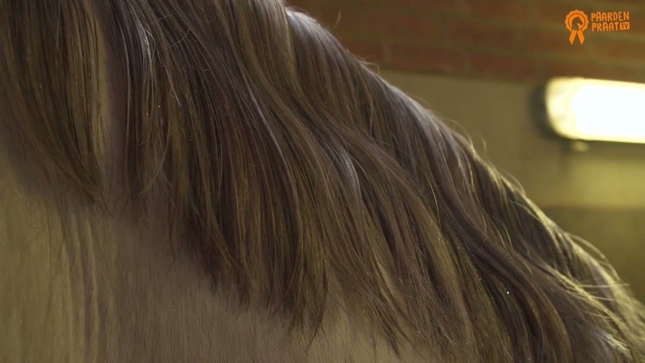 Paardenpraat TV Glitter Glamour Spray Roze 2025 Paardenpraat TV Glitter Glamour Spray Roze - Afbeelding 2