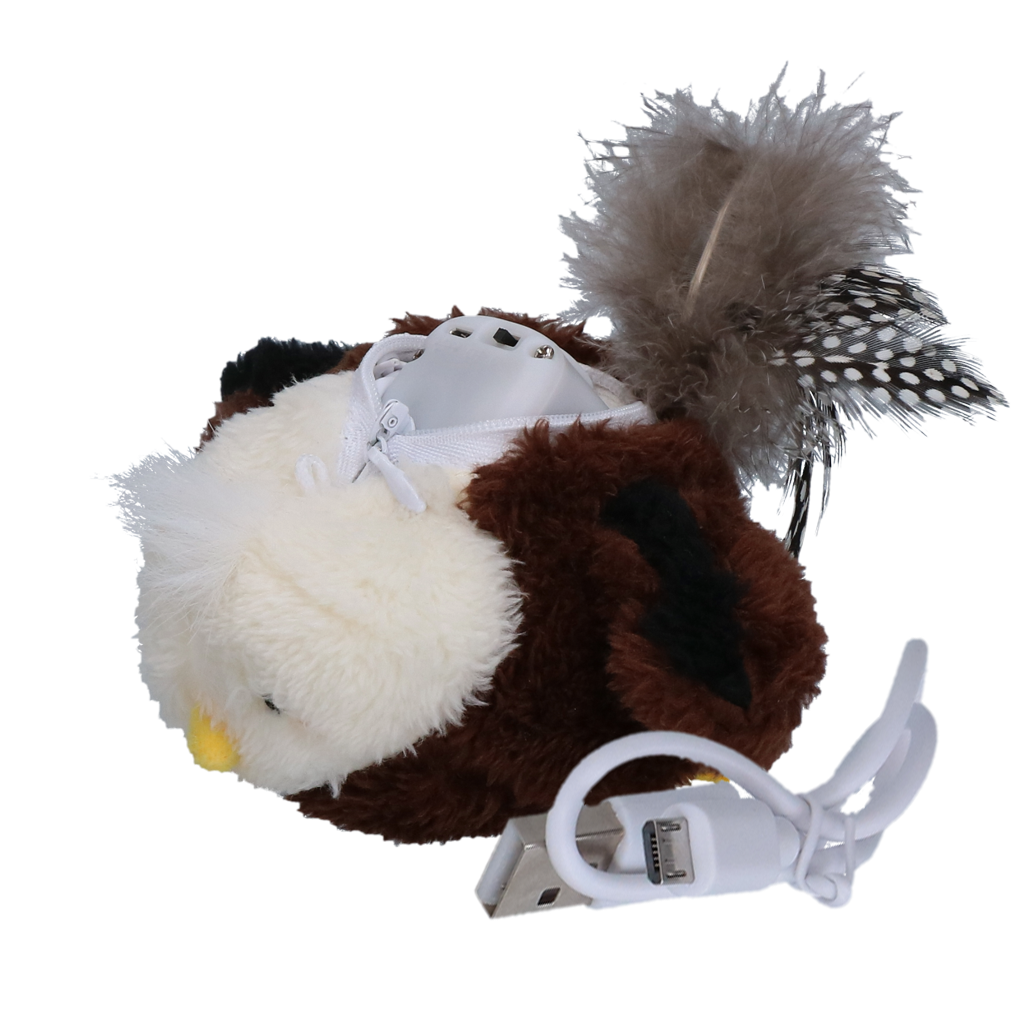 Robocat Adelaar 2025 Robocat Adelaar - Afbeelding 3