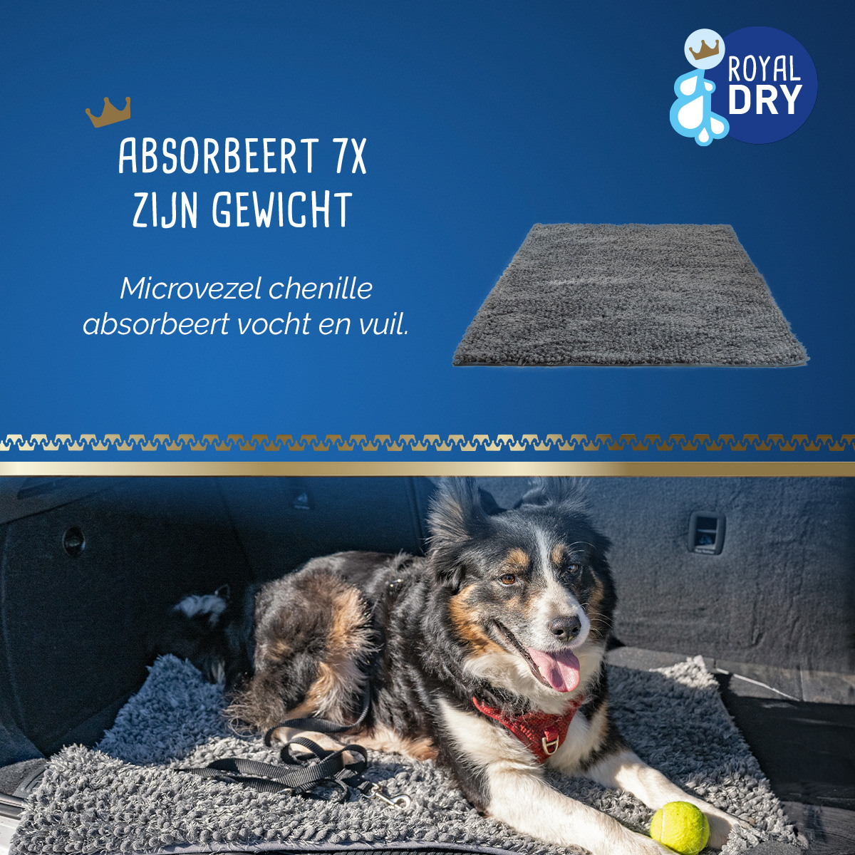 Royal Dry Knoeimat Voor Honden En Katten 2025 Royal Dry Knoeimat Voor Honden En Katten - Afbeelding 5