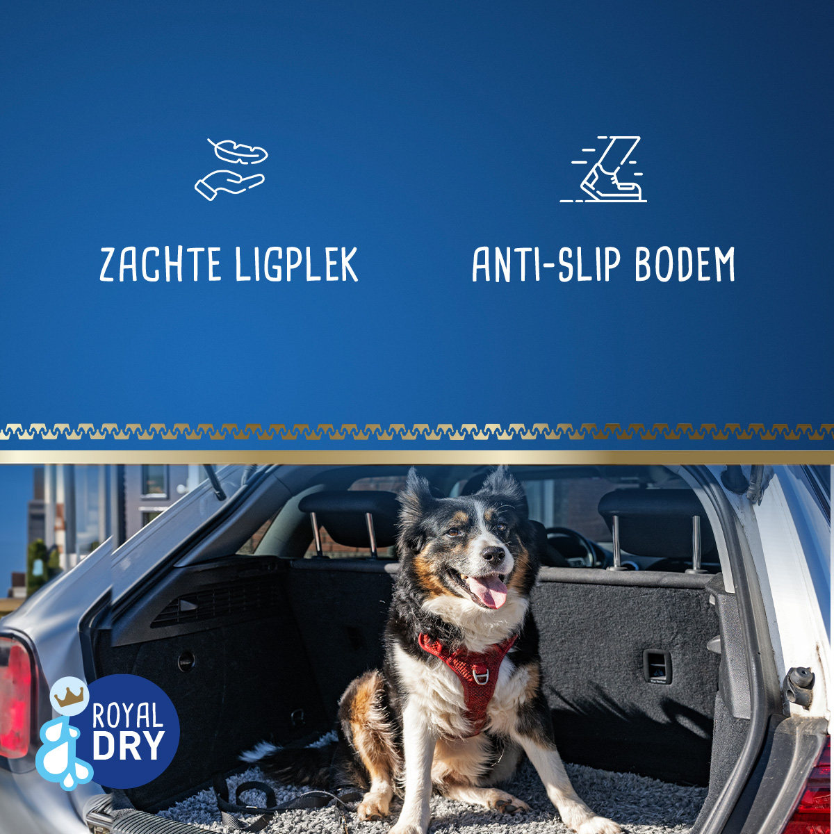 Royal Dry Knoeimat Voor Honden En Katten 2025 Royal Dry Knoeimat Voor Honden En Katten - Afbeelding 6