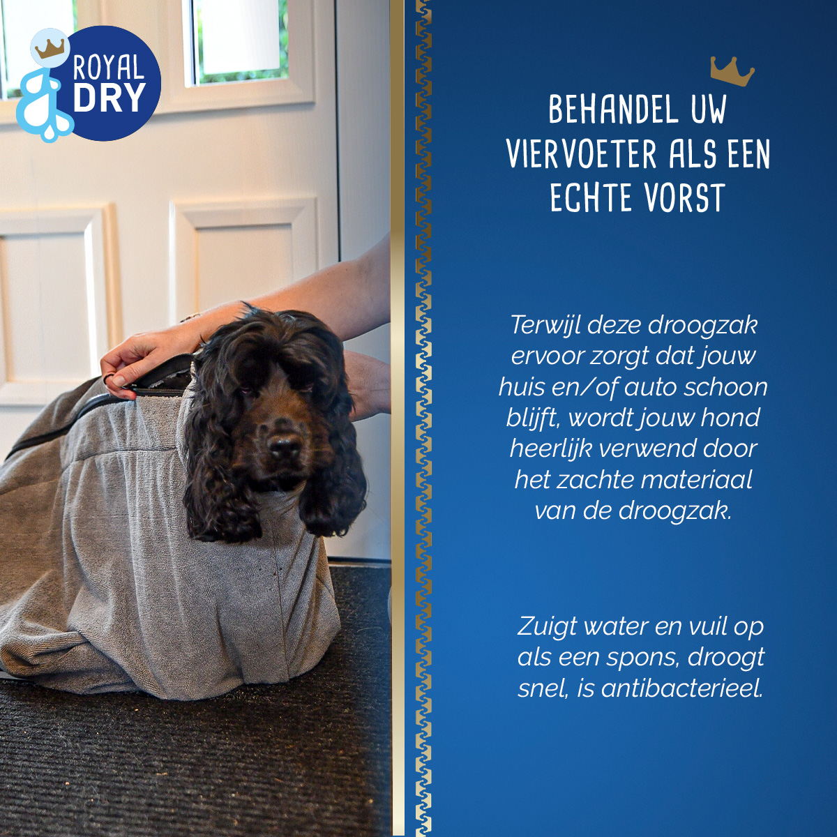Royal Dry Doggy Bag Droogzak M 2025 Royal Dry Doggy Bag Droogzak M - Afbeelding 6