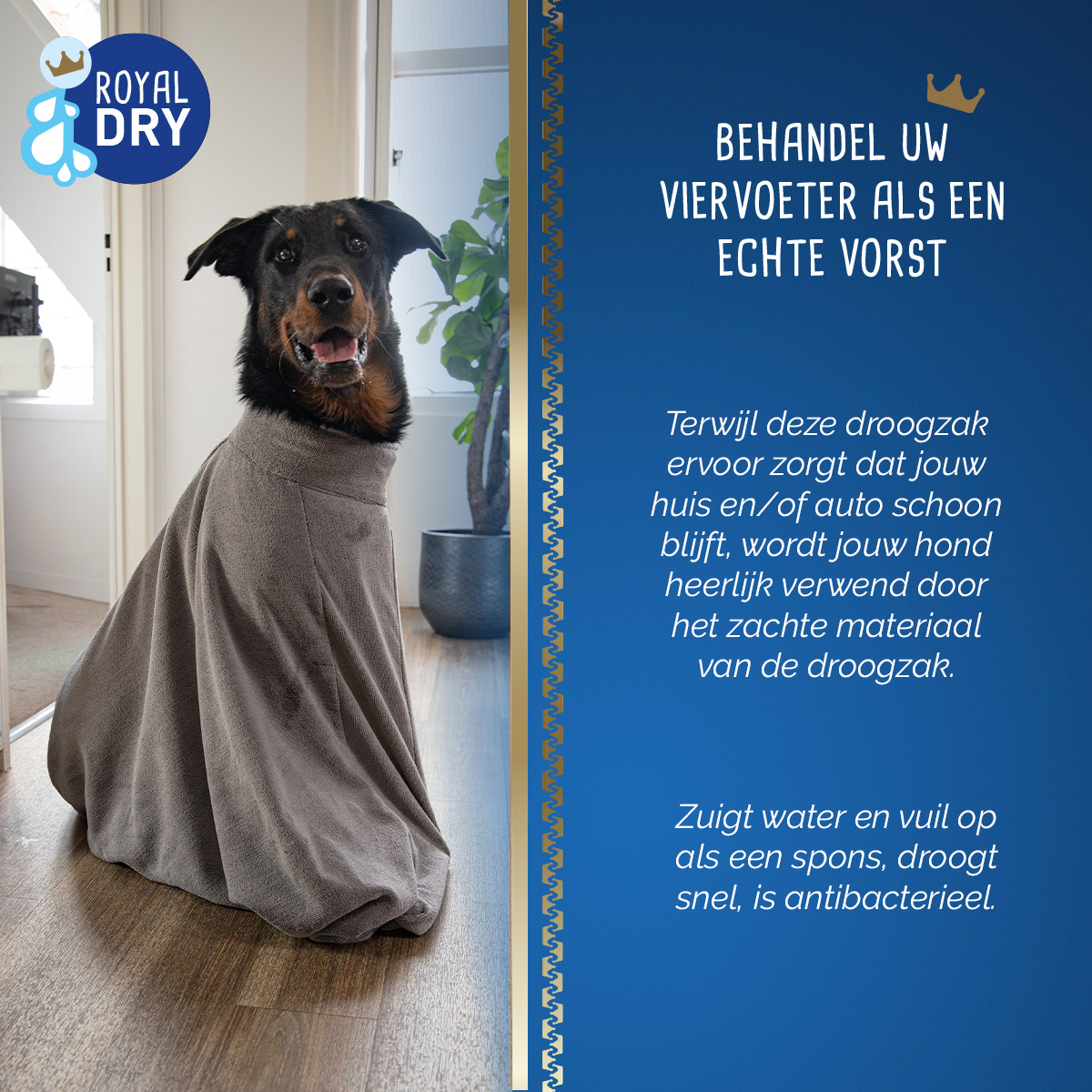 Royal Dry Doggy Bag Droogzak L 2025 Royal Dry Doggy Bag Droogzak L - Afbeelding 6