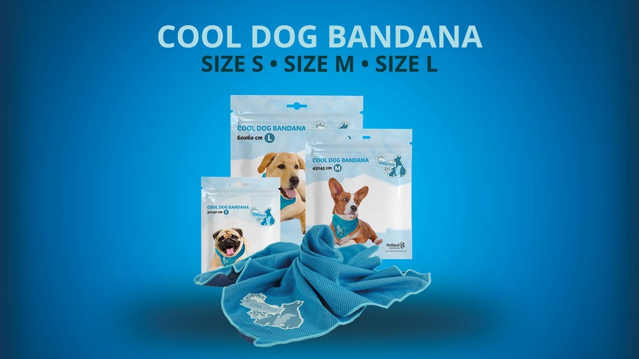 CoolPets Cooling Bandana S 2025 CoolPets Cooling Bandana S - Afbeelding 6